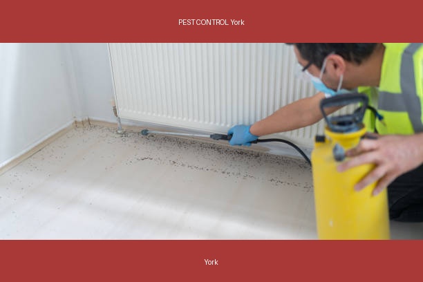 PEST CONTROL York